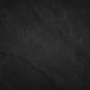 Meet your Posher, Ezra